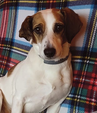 Peanut Moritz-Smith